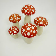 Load image into Gallery viewer, Img