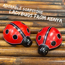 Load image into Gallery viewer, Soapstone Ladybug
