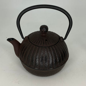 Japanese Iron Teapots
