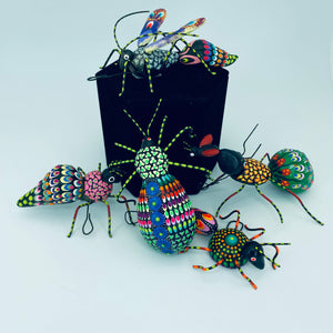 Fancy Bugs by Conception Aguilar
