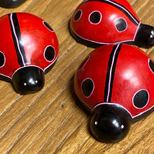 Load image into Gallery viewer, Soapstone Ladybug
