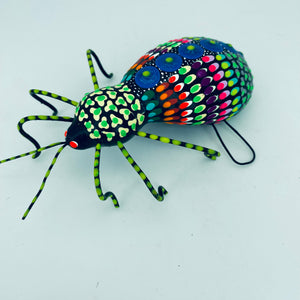 Fancy Bugs by Conception Aguilar