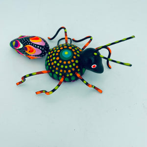 Fancy Bugs by Conception Aguilar